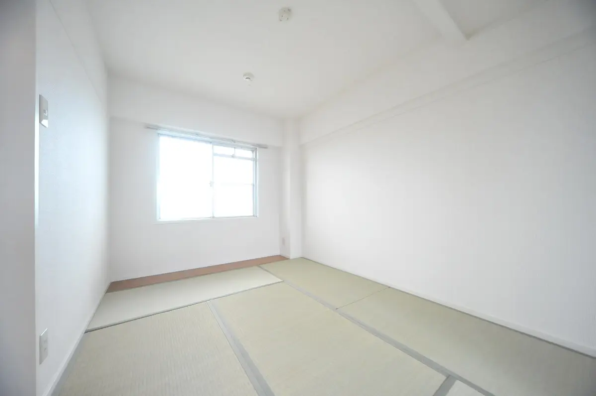 3054_H26_P2_104_6atvh3q4o54ht9v2ulus47jf0m