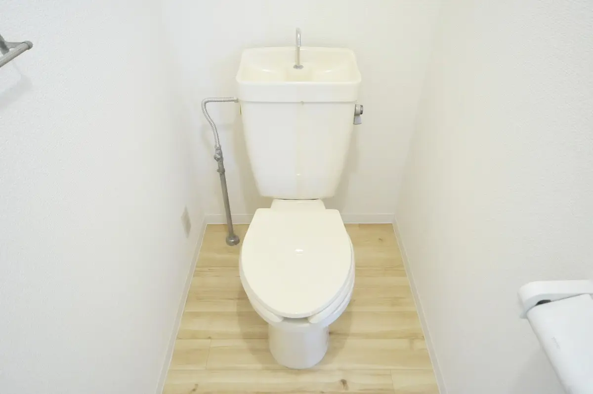 3054_H26_P2_120_picrtr6iol7dl31adrnibbhs0h