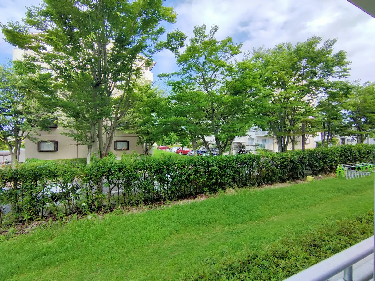 3256_O1_P1_33_i7t833buo16jtd0b2vp8edrt5i