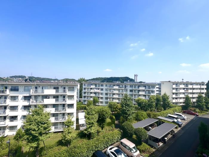 藤の台