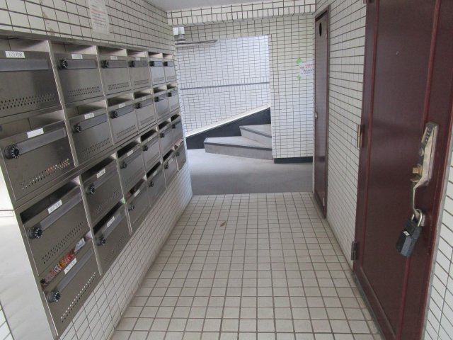 256500_2
