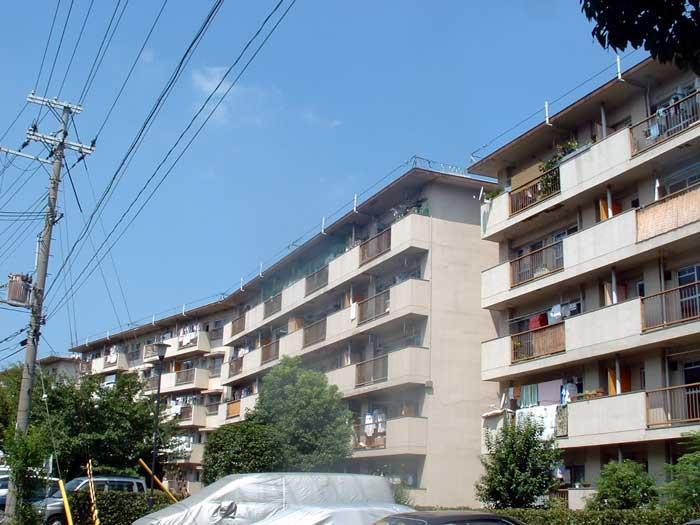 新金岡第1