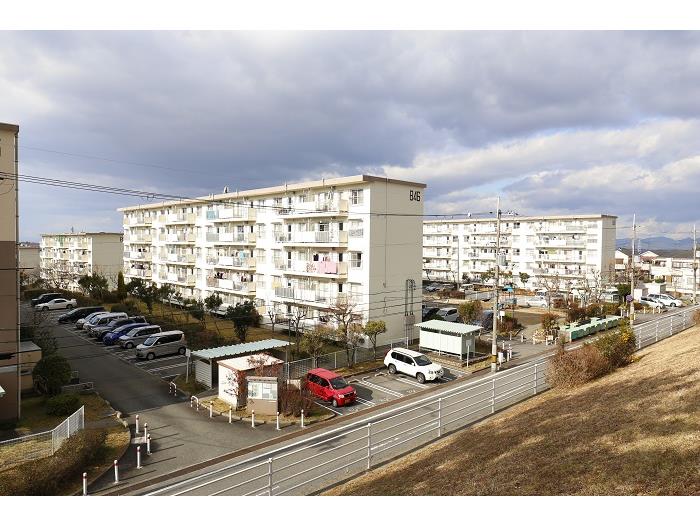 有野