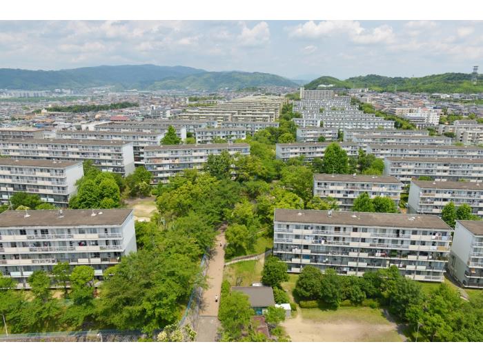 男山