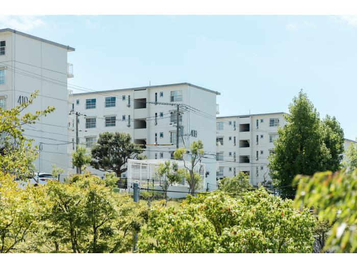 新多聞