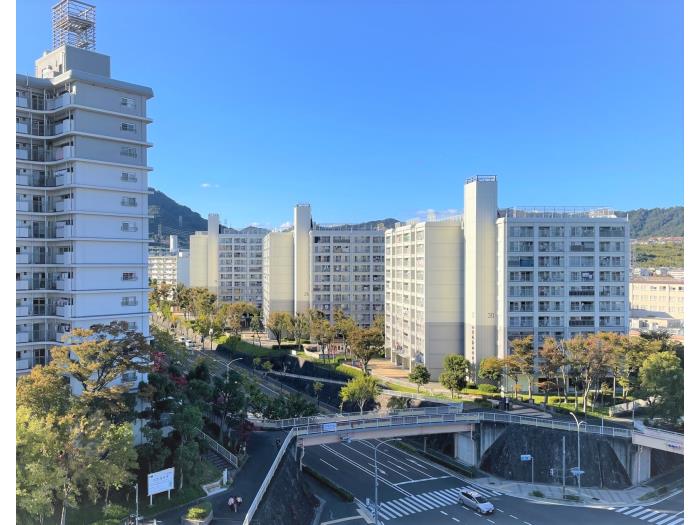 洛西新林