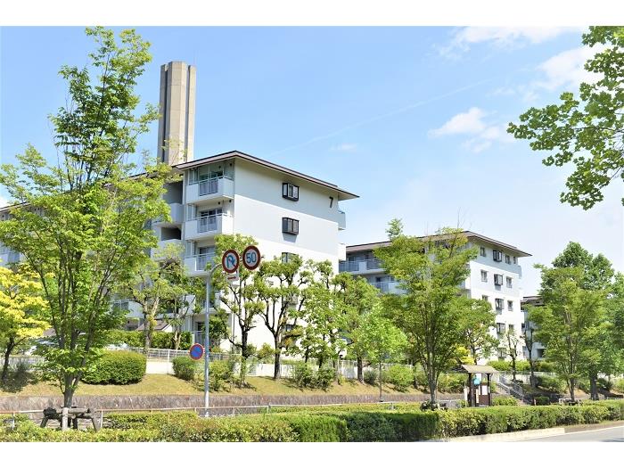 洛西福西公園