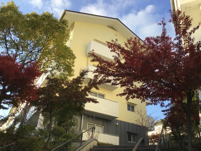コンフォールかぶと台