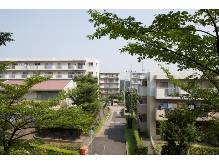 A00013554