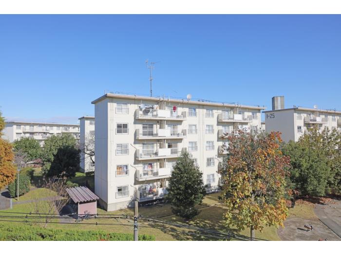 A00042533