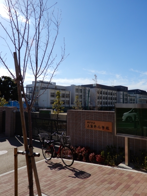 サテライト青谷