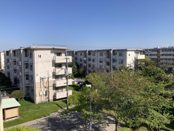 R11536719