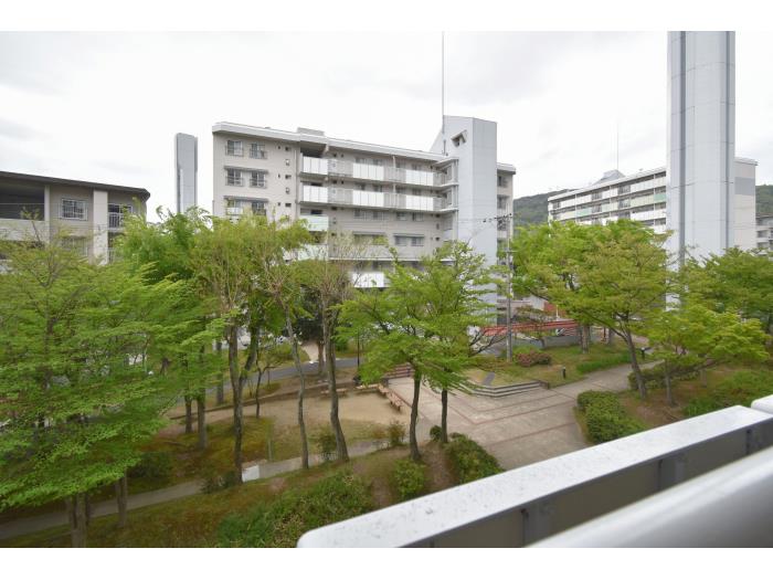 R11546501