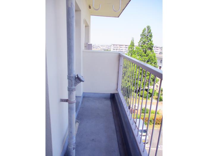R11624117-1
