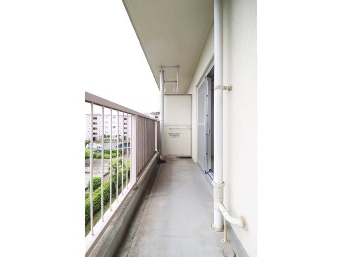 R11645785