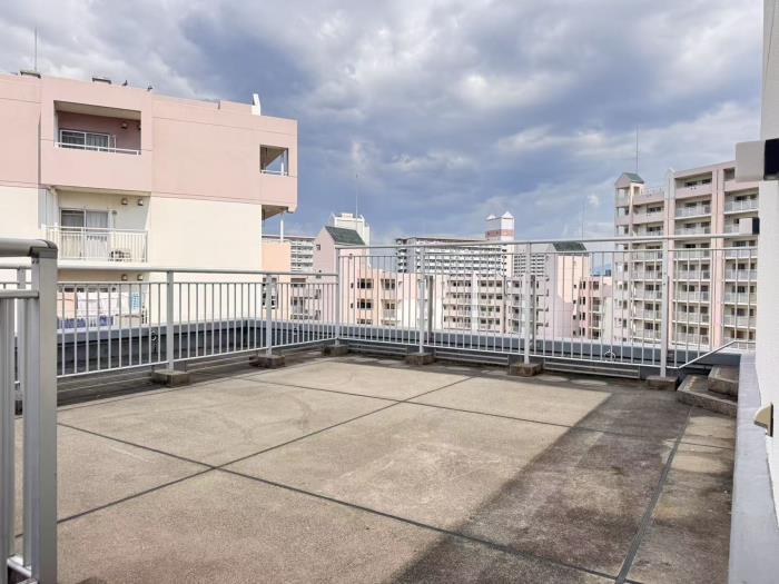R11648101-3