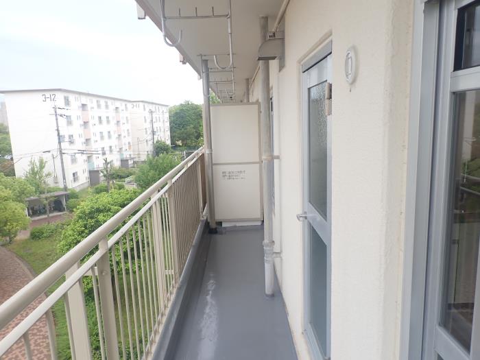 R11657333-1