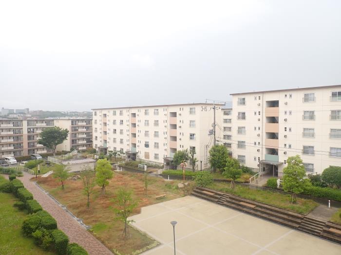 R11657334-1