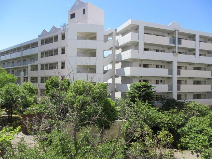R11678379-1