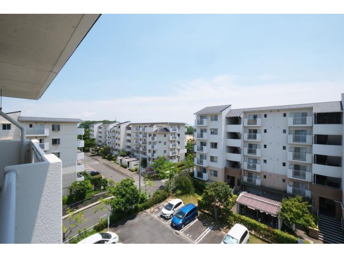 R11711495