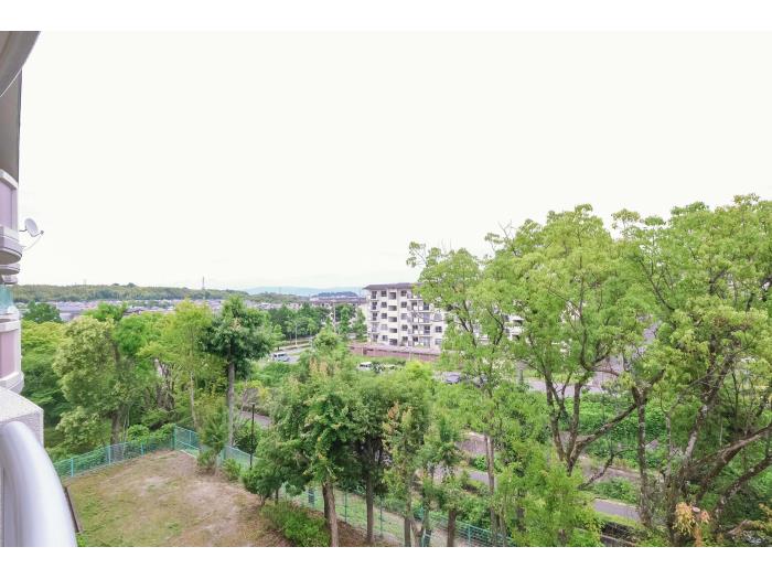R11723951