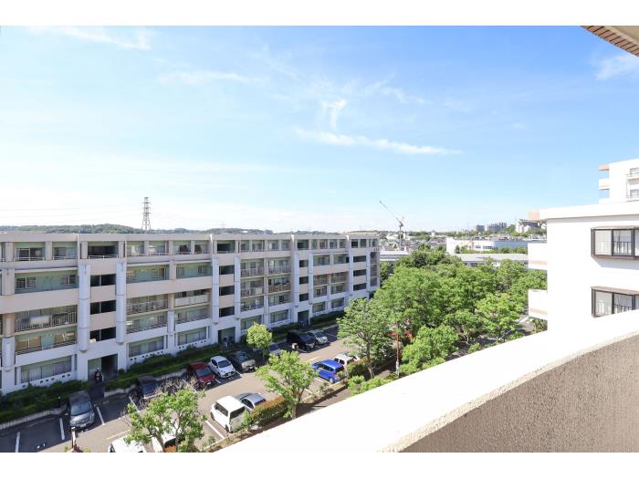 R11731642-2