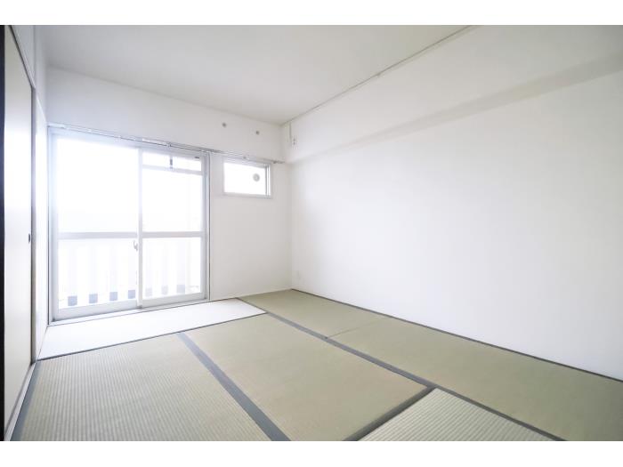 R11736500-1