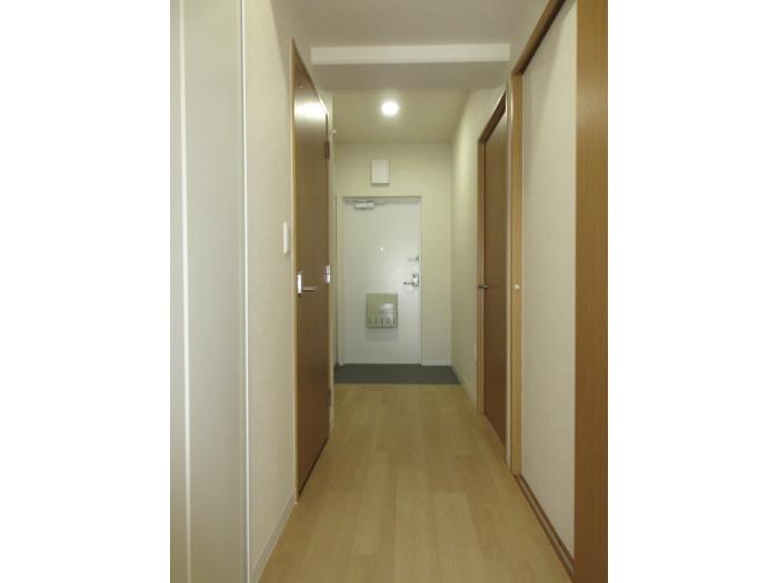 R11747371-1