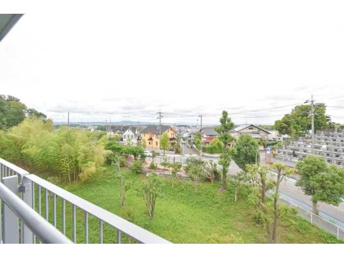 R11753617-1