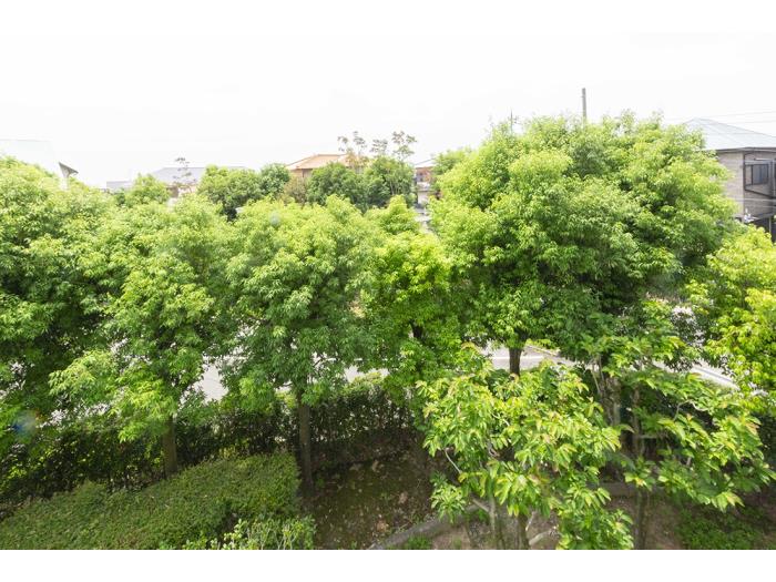 R11769541-1