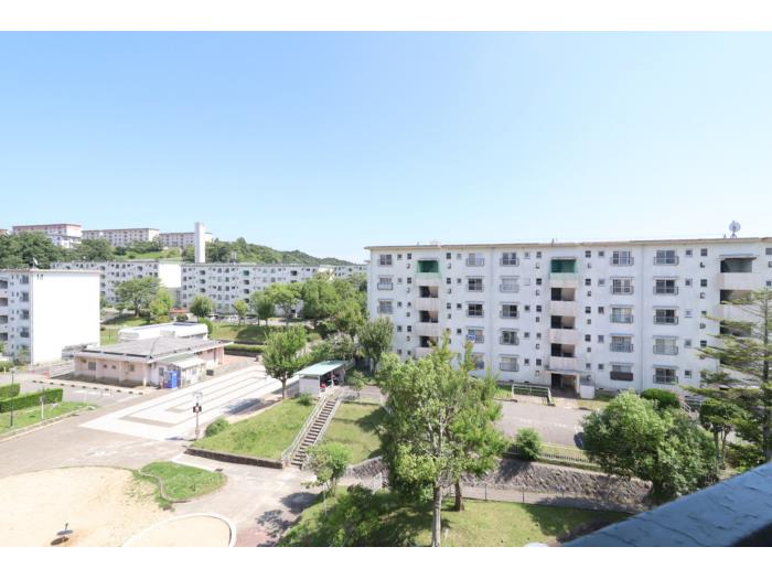 R11773386