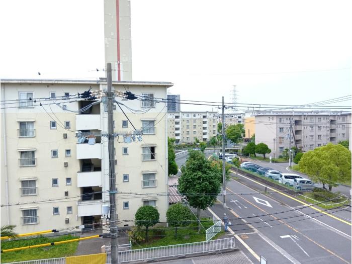 R11777974-1