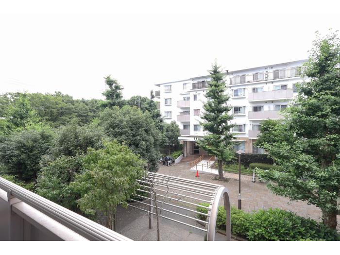 R11795280-1