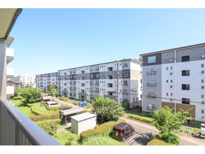 R11814272