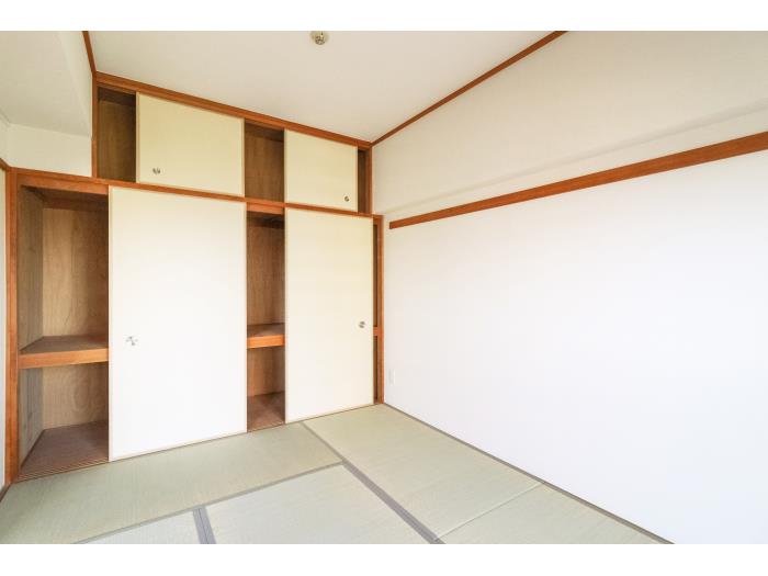 R11816163-2