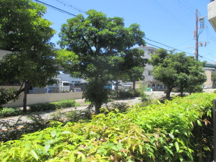 R11832237-1