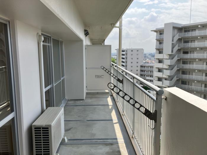 R11838807