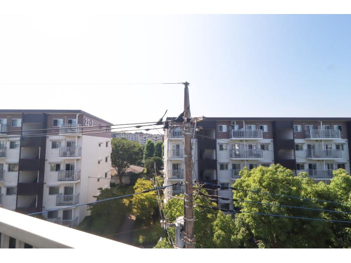 R11862726