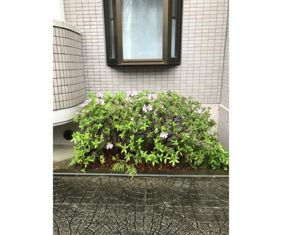housing-5612338_5