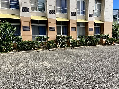 request_228061_2