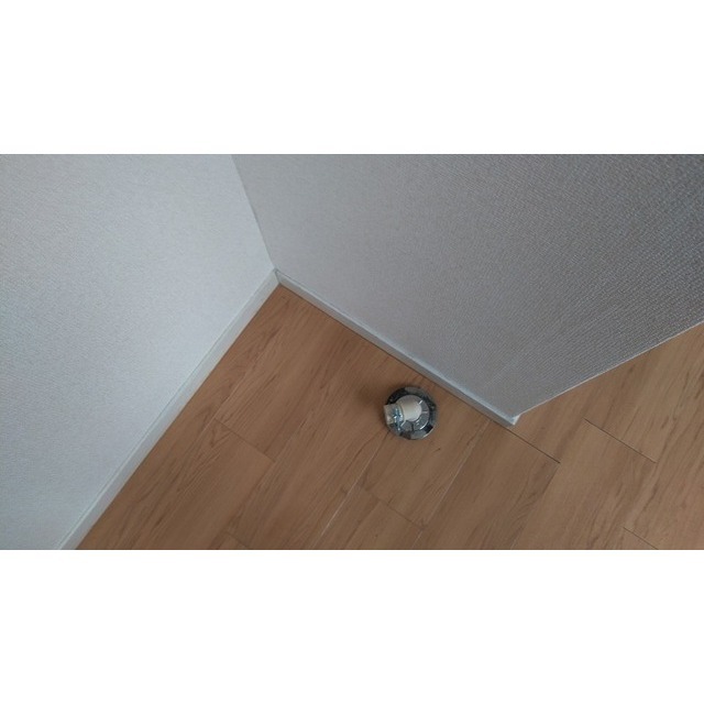 NUnRnCv114u9HJqtVFUXPYosgv7zyPdWET8edkqf