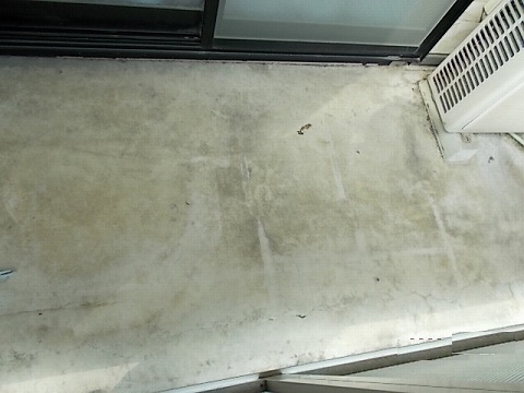 request_ad0152063a15